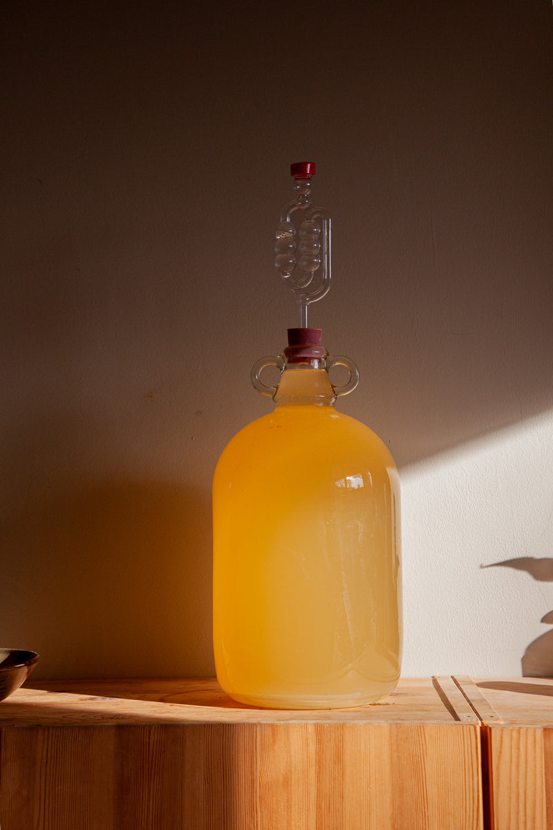 Nettle Wine The End of the Avenue