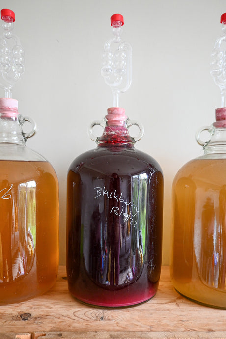 Blackberry Wine