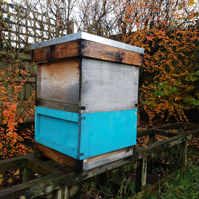 Try a Wax Wrap in 2020