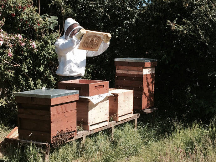 Us at The End of the Avenue