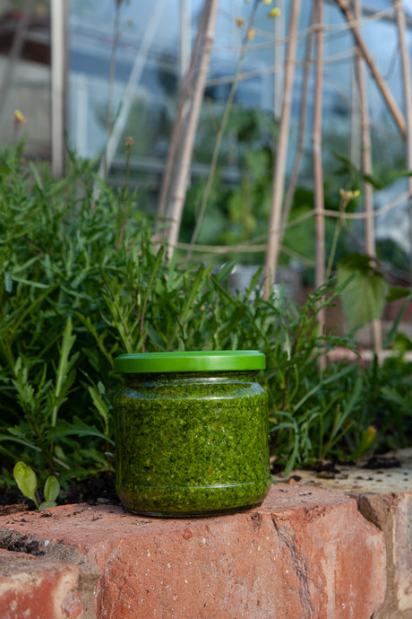 Papa's Rocket Pesto