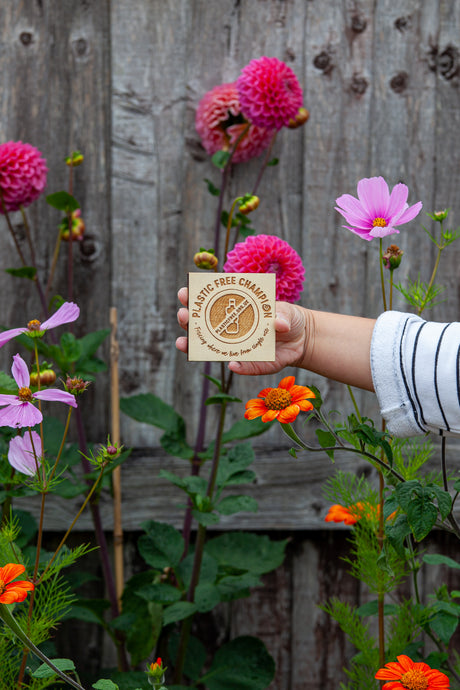 Plastic Free July