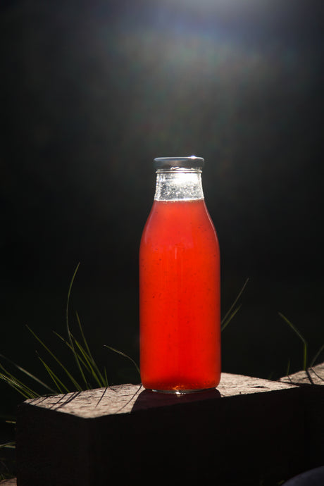 Rhubarb Cordial Recipe