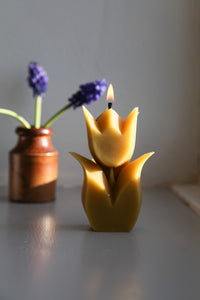 Beeswax Tulip Candle