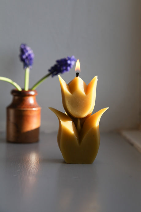 Beeswax Tulip Candle